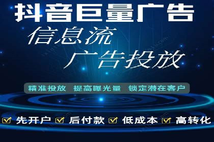 某某SEM团队成功案例：广告投放策略揭秘